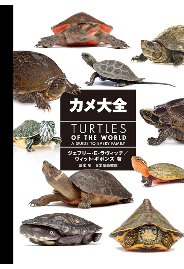 Amazon.co.jp: カラー図鑑カメのすべて : 高橋 泉: Japanese Books